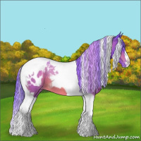 Horse Color:Watercolor Bay Tobiano Blanket 