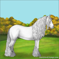 Horse Color:Gray Grullo Splash Tobiano Blanket 