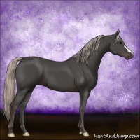 Horse Color:Silver Black 