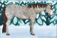 Horse Color:Liver Chestnut Ice Frame