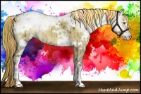 Horse Color:Painted White Spotted Chocolate Palomino Dun Sabino Brindle 