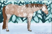 Horse Color:Chestnut Ice 