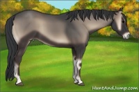 Horse Color:Blue Onyx