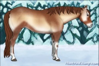 Horse Color:Red Onyx 