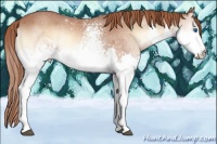 Horse Color:White Spotted Red Onyx Splash