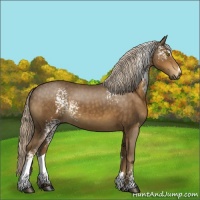 Horse Color:White Spotted Chocolate Palomino Sabino 
