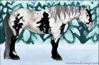 Horse Color:White Spotted Blue Onyx Ice 