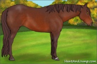 Horse Color:Chocolate Brown 