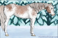 Horse Color:White Spotted Silver Bay Ice Splash