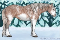 Horse Color:White Spotted Silver Bay Ice Splash Frame Rabicano 