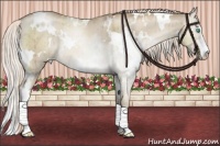 Horse Color:White Spotted Chocolate Palomino Pearl Dun Mushroom Sabino Rabicano Brindle 
