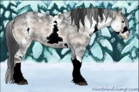 Horse Color:White Spotted Blue Onyx Ice Splash Frame 