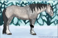 Horse Color:Blue Onyx Ice