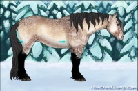 Horse Color:Brown Ice Onyx Tobiano 