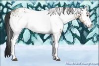 Horse Color:White Spotted Bay Ice