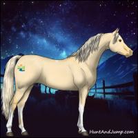 Horse Color:Palomino Dun Tobiano 
