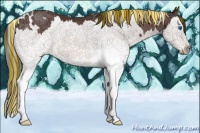 Horse Color:Painted White Spotted Brown Splash 