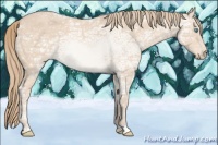 Horse Color:Perlino Ice 