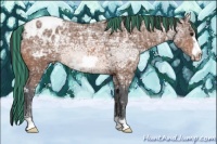 Horse Color:Painted Bay Ice Frame Appaloosa