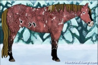 Horse Color:Painted White Spotted Bay Ice Dun Splash