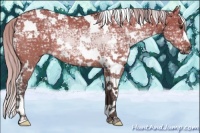 Horse Color:White Spotted Silver Brown Ice Dun