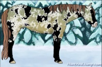 Horse Color:Painted White Spotted Buckskin Ice Dun Splash 