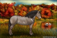 Horse Color:White Spotted Liver Red Dun Sabino