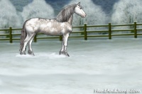 Horse Color:Liver Red Dun Sabino 