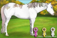 Horse Color:Nacre White Spotted Chocolate Silver Brown Ice Dun Sabino Splash Rabicano