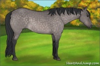 Horse Color:Platinum Brown Dun 