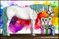 Horse Color:Painted White Spotted Chocolate Palomino Onyx Tobiano Rabicano Brindle