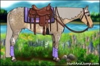 Horse Color:Silver Smoky Grullo Ice