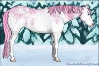 Horse Color:Watercolor White Spotted Bay Ice Splash