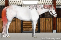 Horse Color:Plaid  White Spotted Liver Red Dun Sabino Splash 