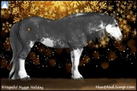 Horse Color:Black Sabino 