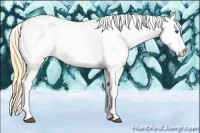 Horse Color:White Spotted Chestnut Splash