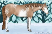 Horse Color:White Spotted Liver Chestnut Pearl 