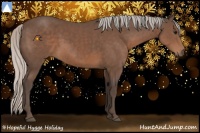 Horse Color:Silver Black 