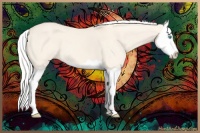 Horse Color:Silver Perlino Dun Splash