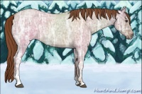 Horse Color:Red Dun Ice Roan Sabino