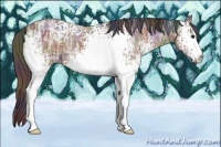 Horse Color:Nacre White Spotted Brown Ice