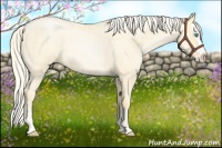 Horse Color:Palomino Roan Pearl and Palomino Roan Pearl Splash