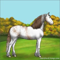 Horse Color:White Spotted Liver Chestnut Pearl 