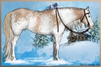 Horse Color:White Spotted Liver Chestnut Pearl 