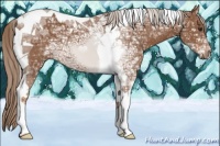Horse Color:Chestnut Ice Tobiano 