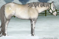 Horse Color:White Spotted Chocolate Palomino Pearl Onyx Mushroom Sabino
