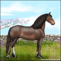 Horse Color:Liver Chestnut Sabino
