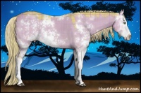 Horse Color:Watercolor Plaid Chocolate Palomino Dun Sabino