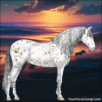 Horse Color:Brown Leopard 