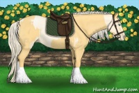 Horse Color:Palomino Roan Pearl  and Palomino Roan 